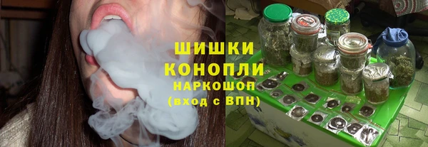 хмурый Мегион