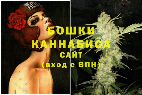 твердый Медногорск