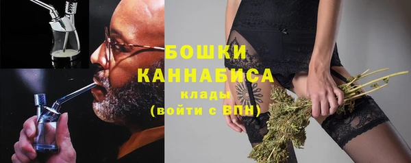 хмурый Мегион
