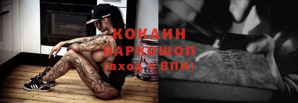 хмурый Мегион