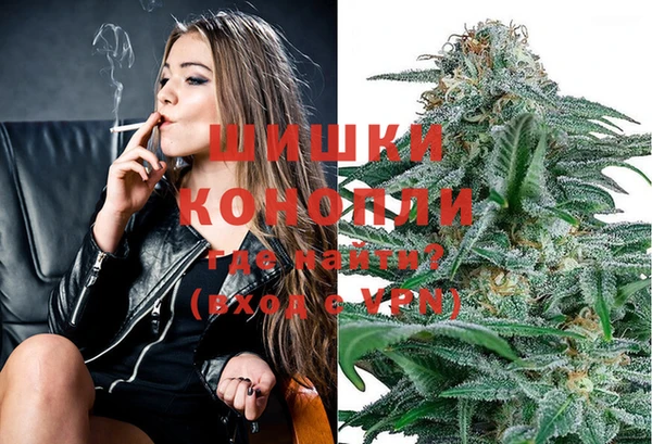 твердый Медногорск