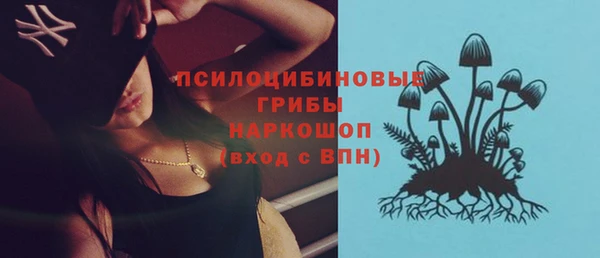 твердый Медногорск