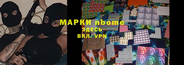 хмурый Мегион