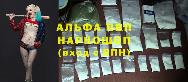 хмурый Мегион