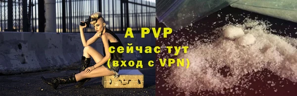 хмурый Мегион